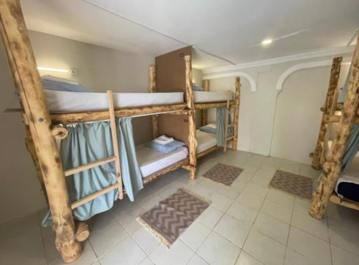 Bunk Bed in Mixed Dormitory Room